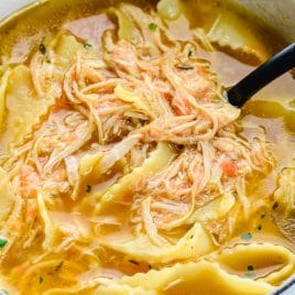 Photograph of chicken noodle soup in a bowl with a black spoon.