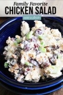 Best Chicken Salad with Grapes Recipe - Add a Pinch
