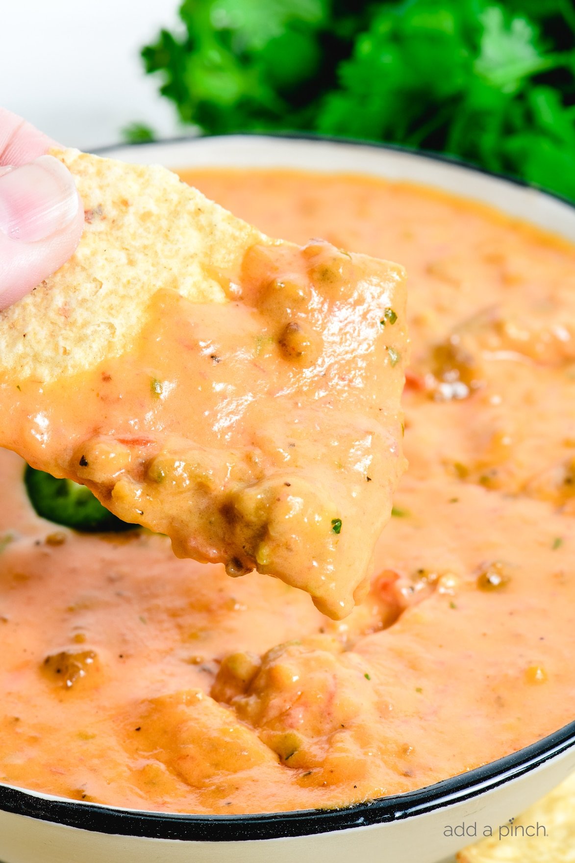 Chili Cheese Dip Recipe Add a Pinch