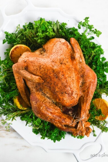 Overhead photo of a roasted turkey on a large white platter garnished with fresh herbs, lemon, salt and pepper. // addapinch.com