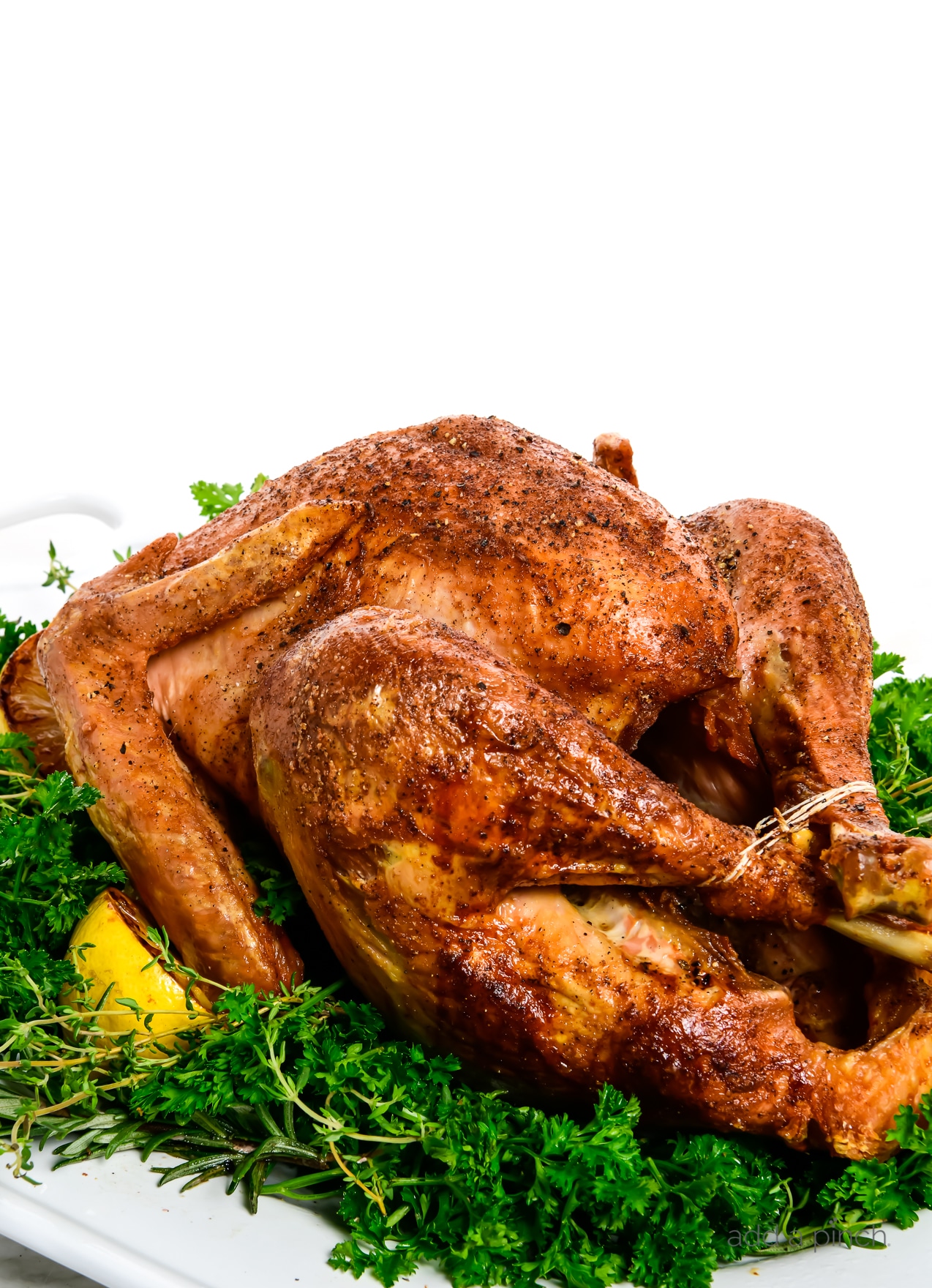 Fresh whole turkey on white background with herbs. Thanksgiving