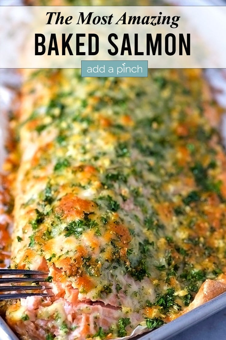 Baked Salmon Recipe with Parmesan Herb Crust - Add a Pinch