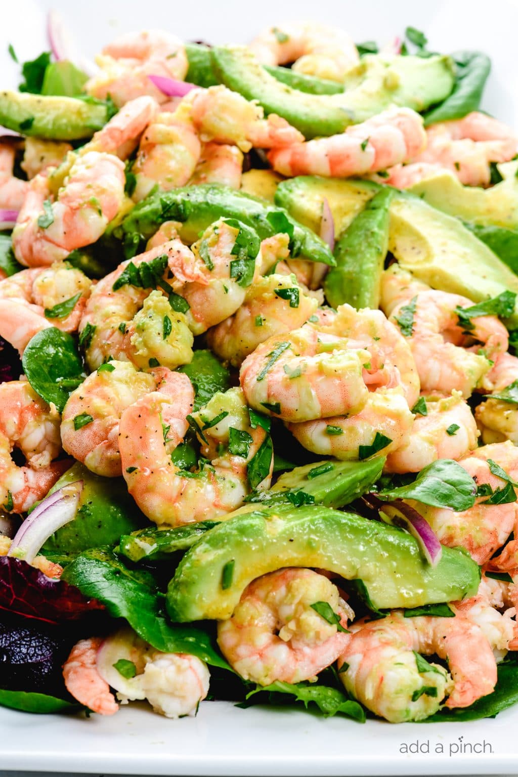 Citrus Shrimp Avocado Salad Recipe - Add a Pinch