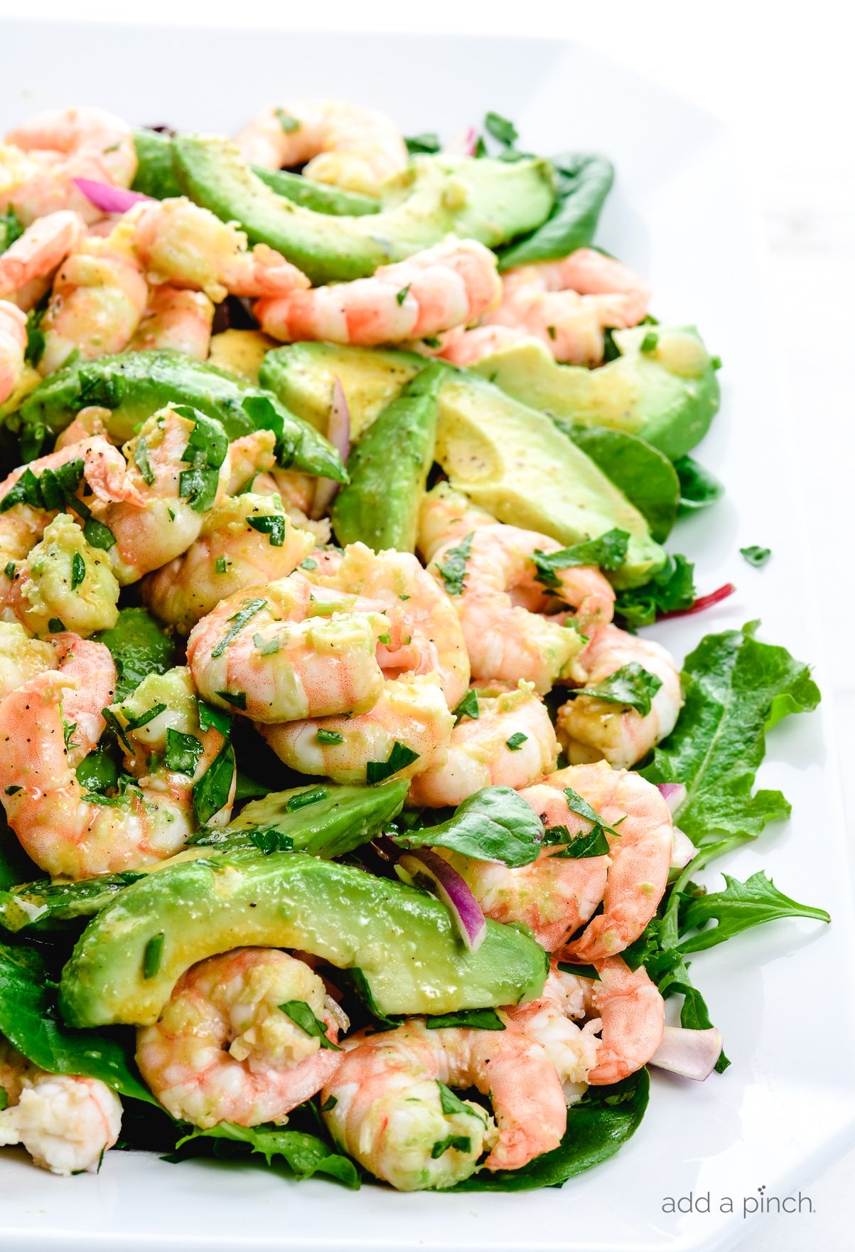 Citrus Shrimp Avocado Salad Recipe - Add a Pinch