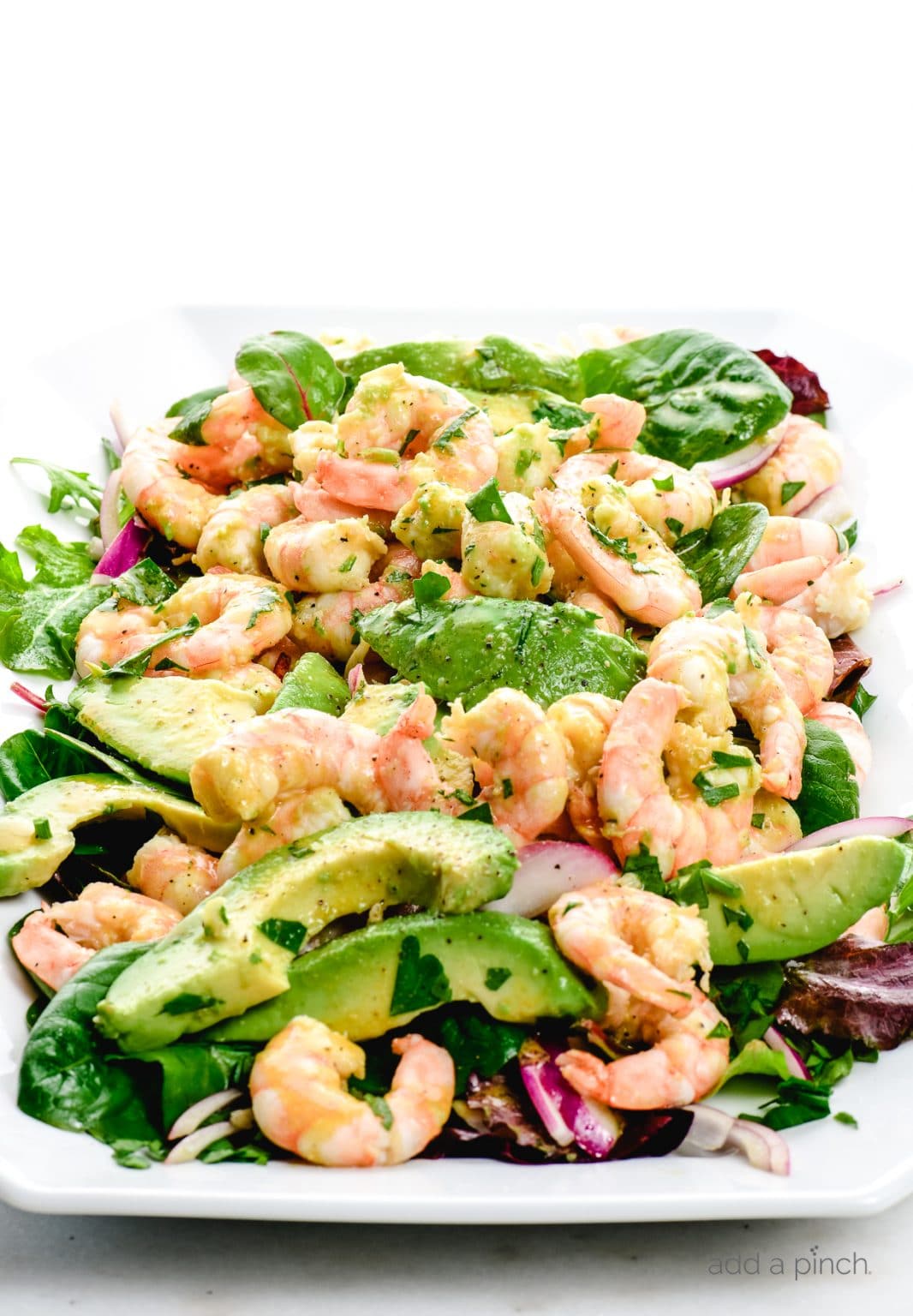 Citrus Shrimp Avocado Salad Recipe - Add a Pinch