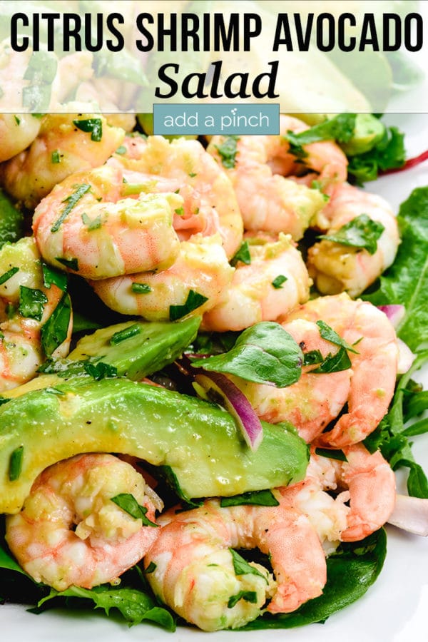 Citrus Shrimp Avocado Salad Recipe - Add a Pinch