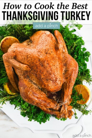 Easy Roast Turkey Recipe - Add a Pinch