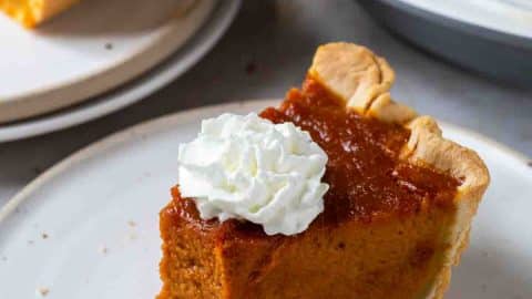 Perfectly Smooth and Tangy Cream Cheese Pumpkin Pie » Hummingbird High