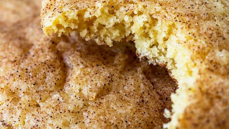 Closeup photo of snickerdoodle with a bite out to show the soft texture.