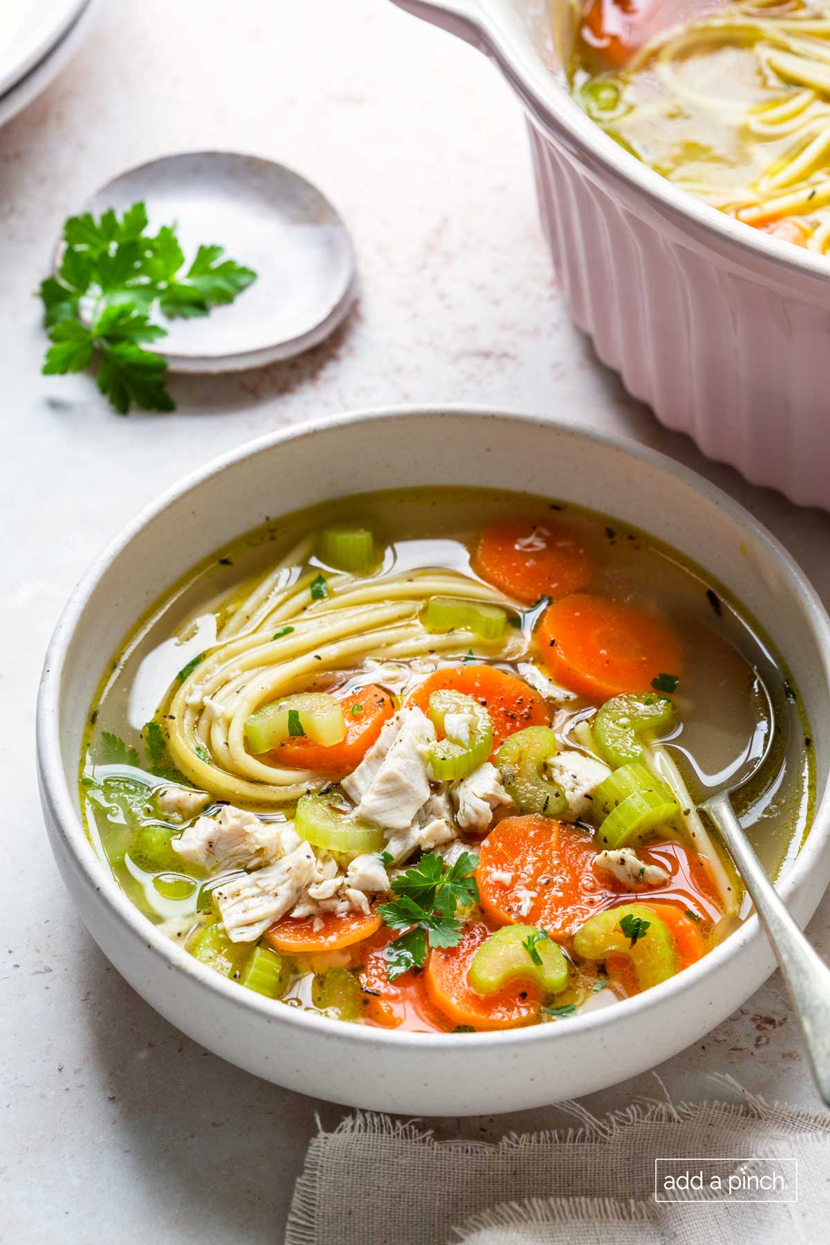 https://addapinch.com/wp-content/uploads/2022/12/Add-a-Pinch_Chicken-Noodle-Soup_014.jpg