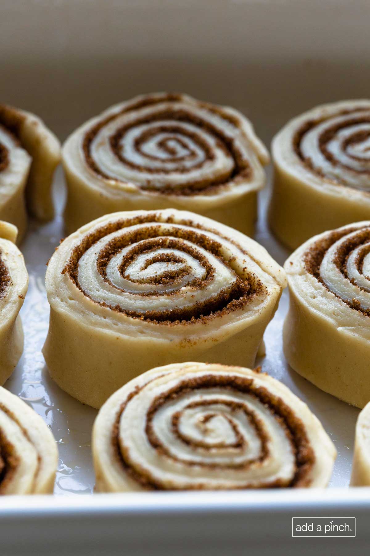 Baking pan is buttered and holds rows of unbaked cinnamon rolls that show swirls of cinnamon filling inside. 