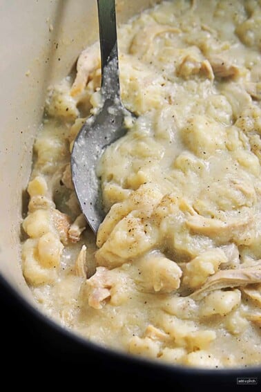 Photo of chicken and dumplings in a Dutch oven with a serving spoon.
