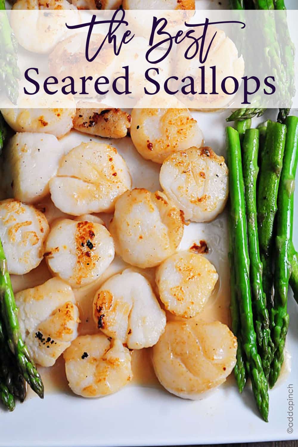 Seared scallops on white dish with asparagus - with text - addapinch.com