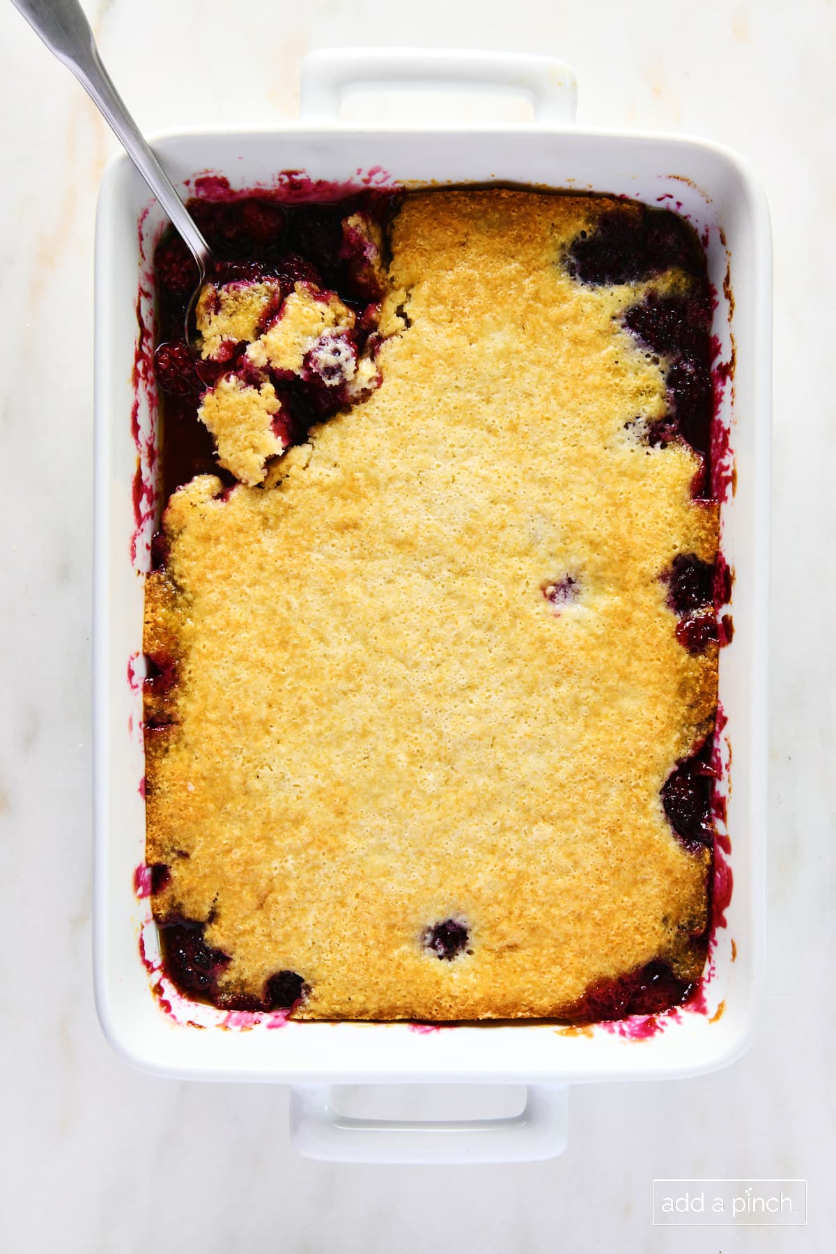 Blackberry cobbler in a white 9x13 baking dish ready to be served.