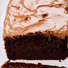 Chocolate loaf cake with chocolate frosting on a white platter.