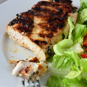 Grilled chicken on a white plate with a salad.