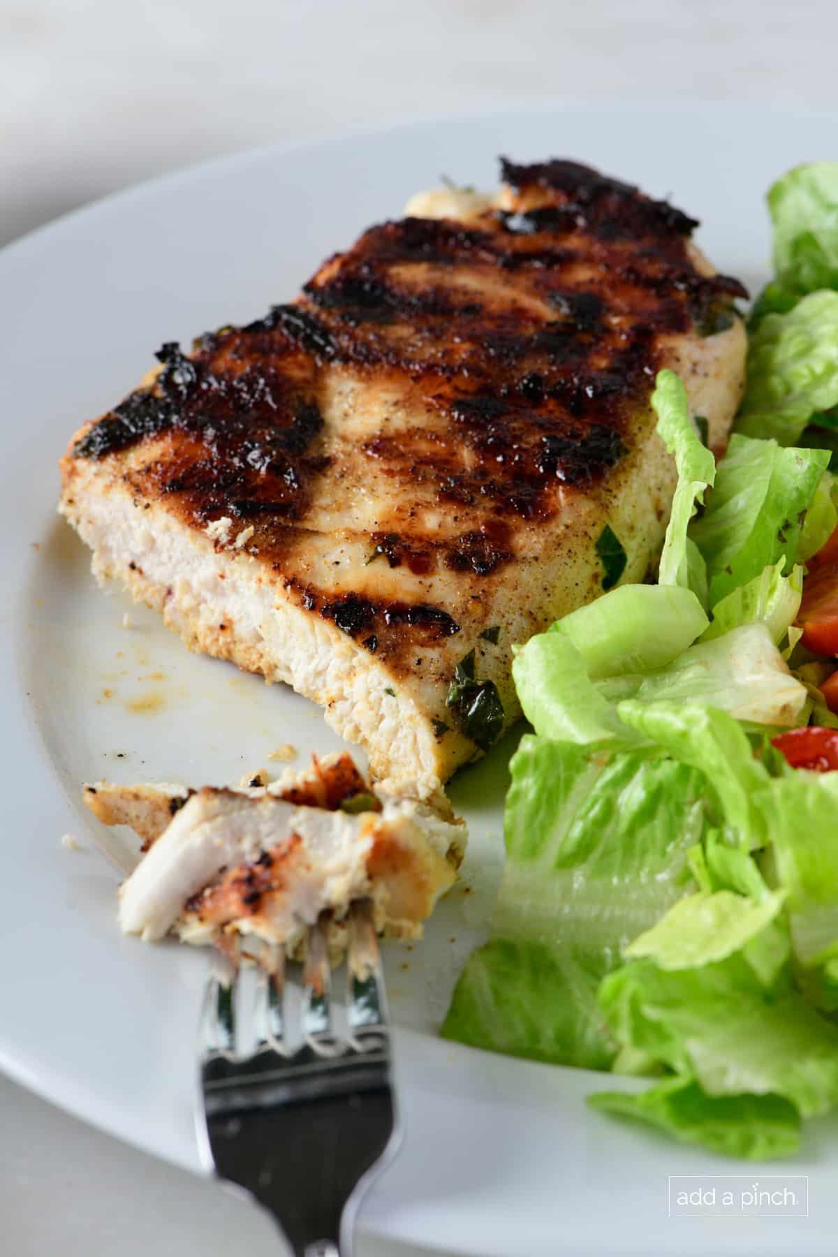 Grilled chicken on a white plate with a salad.