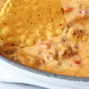 Creamy cheesy dip in a white dip with a tortilla chip.