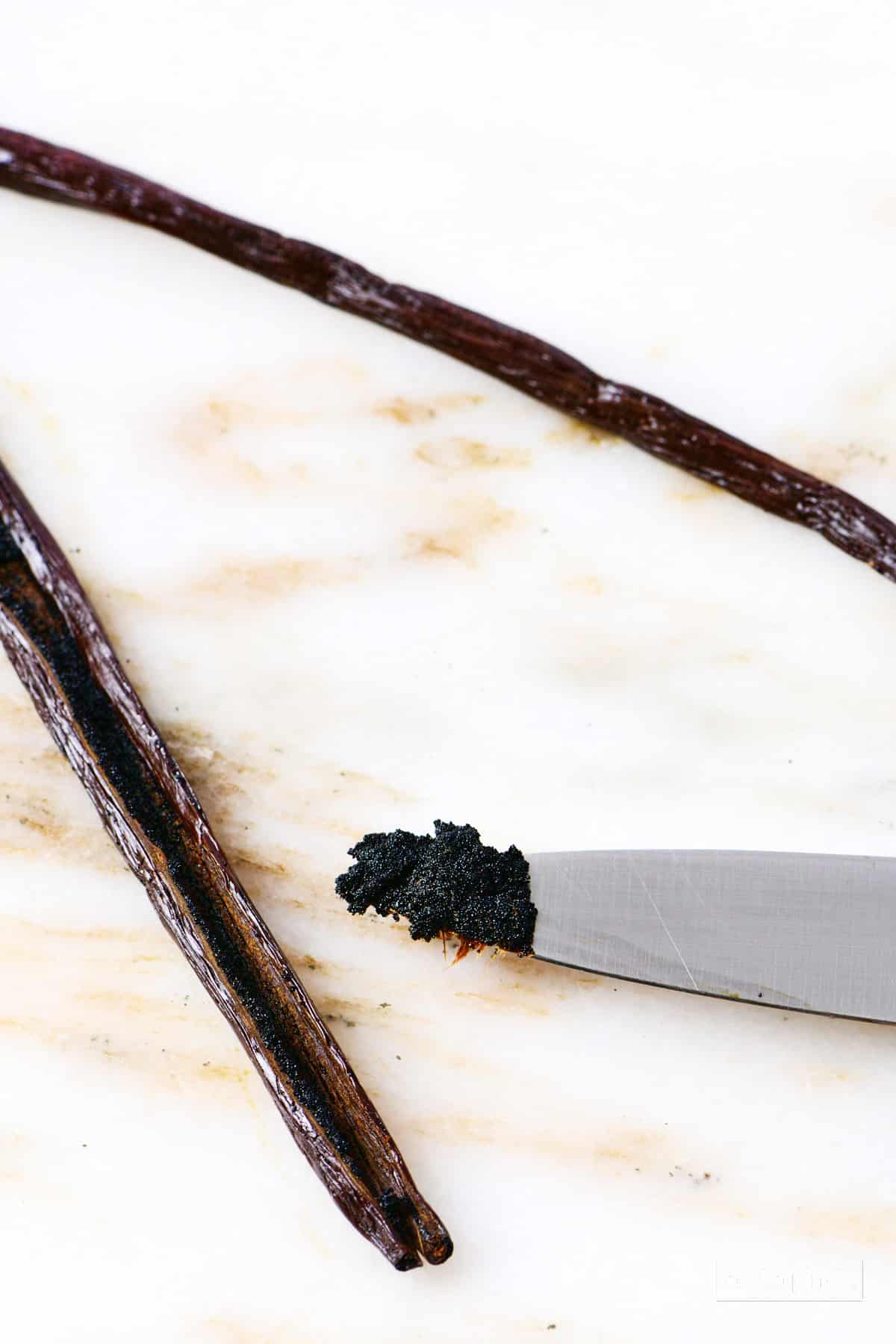 Paring knife with vanilla bean seeds from scraped vanilla bean pod.