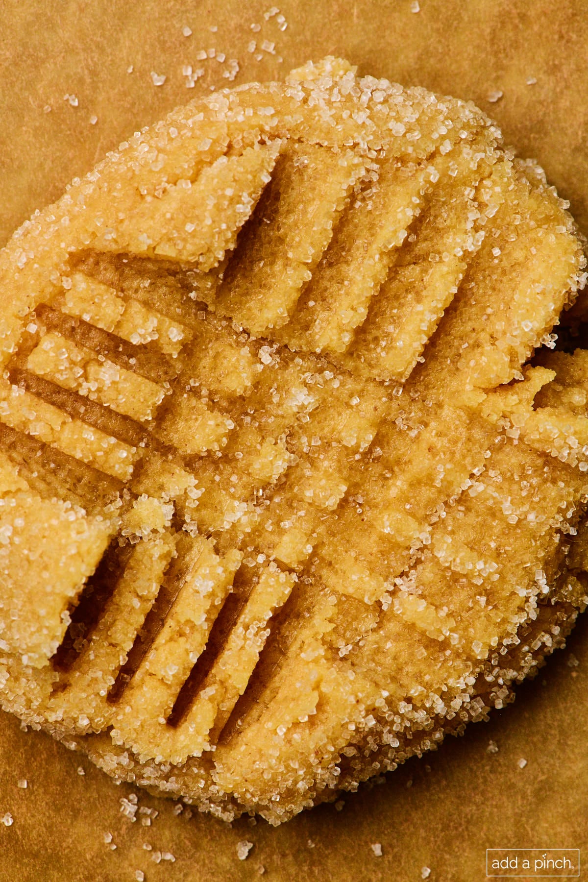 Close up of peanut butter cookie with criss cross top that has been rolled in granulated sugar. 