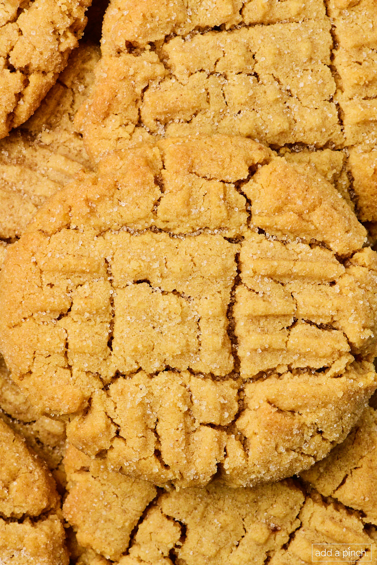 Closeup of baked peanut butter cookie with criss cross pattern on top.