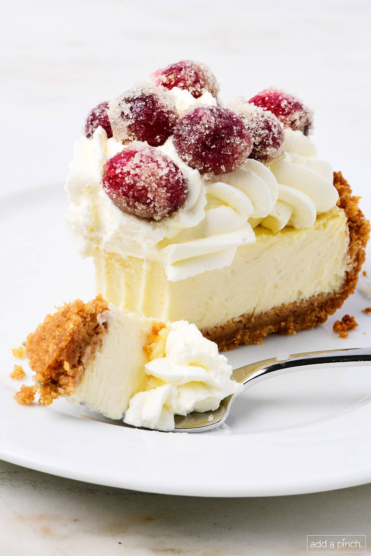 Cheesecake pie with a bite on a fork topped with sugared cranberries and whipped cream.
