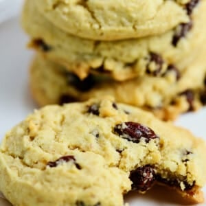 Closeup of a plate of oatmeal raisin cookies, with the cookie in front having a bite out of it.