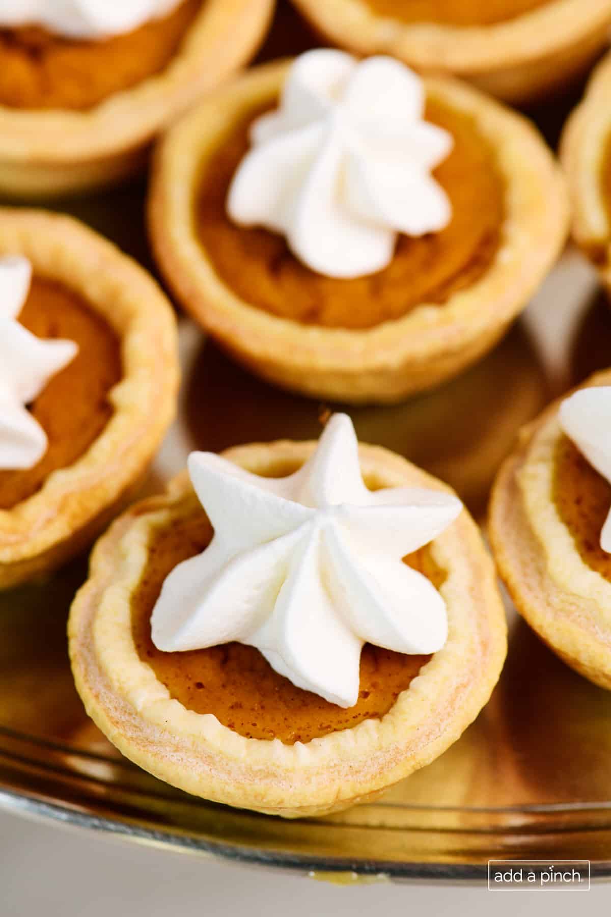 Mini pumpkin pie topped with whipped cream.