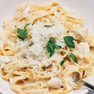Bowl of chicken Alfredo in a creamy Alfredo sauce with parmesan cheese and parsley.