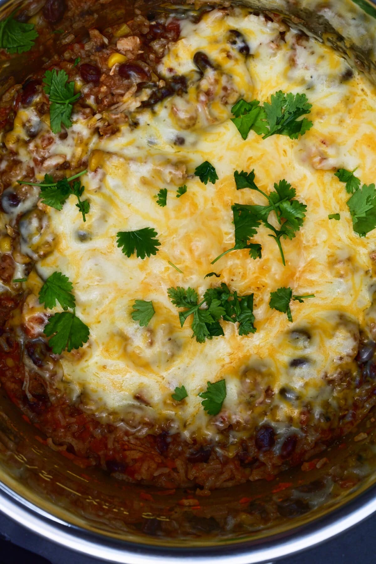 Chicken burrito bowls cooked in instant pot and topped with cheese and cilantro.
