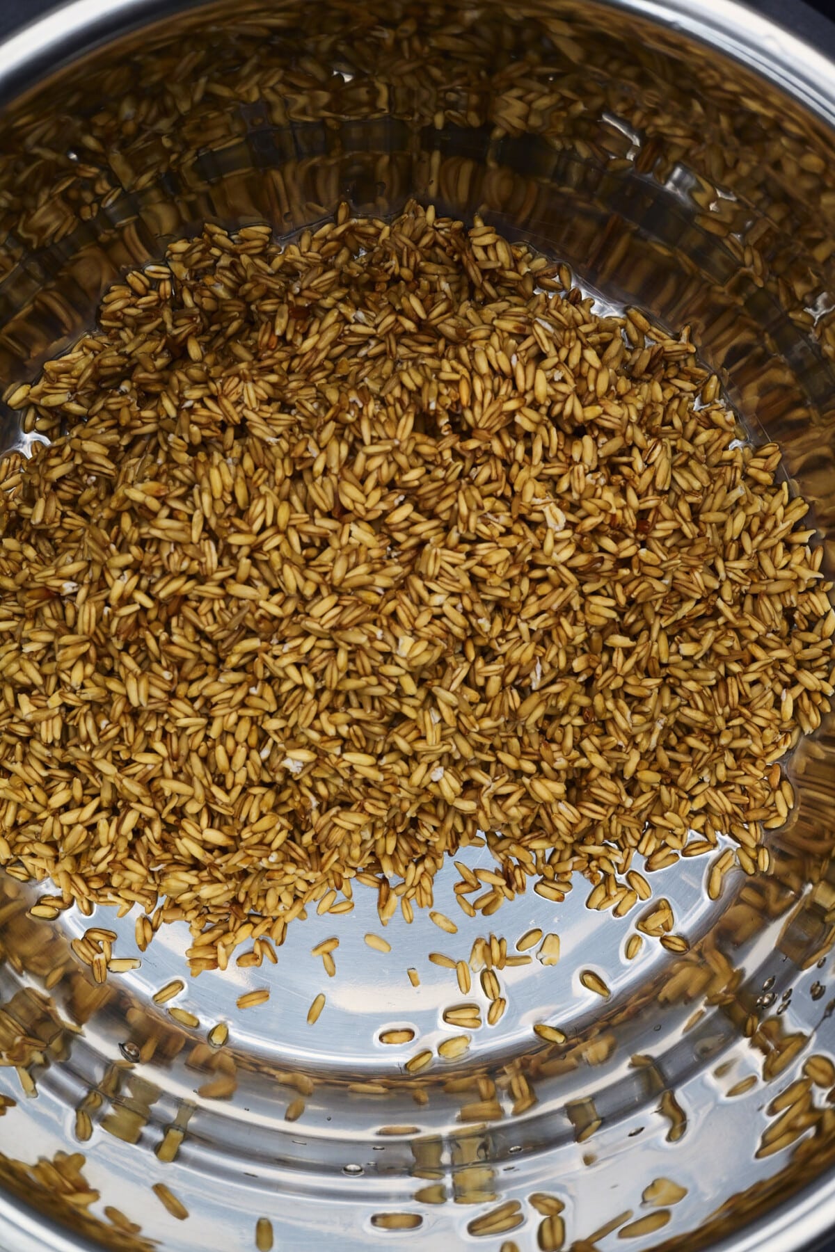 Rinsed and uncooked oat groats in a pot ready to be cooked.