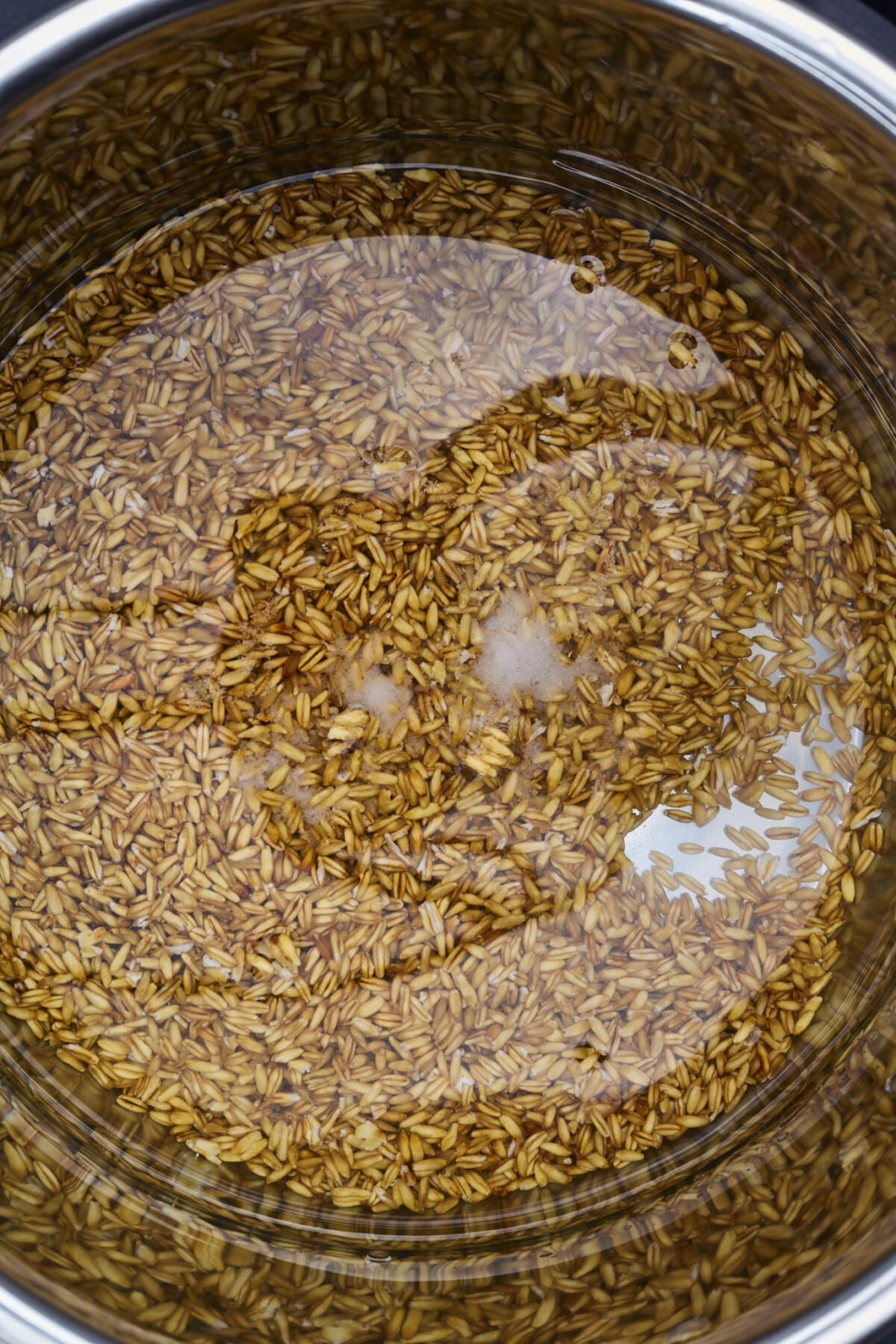 Uncooked oat groats, water, and salt in a pot ready to be cooked.