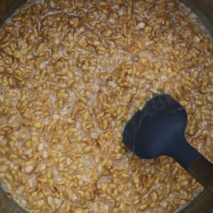 Cooked oat groats recipe in an Instant Pot.