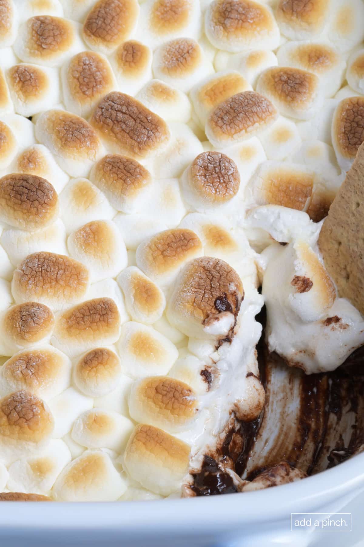 Smore's Dip in baking dish with a graham cracker dipping.
