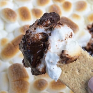 Smore's Dip on a graham cracker.