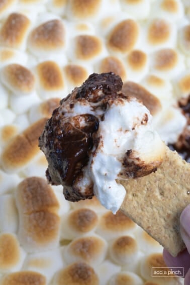 Smore's Dip on a graham cracker.