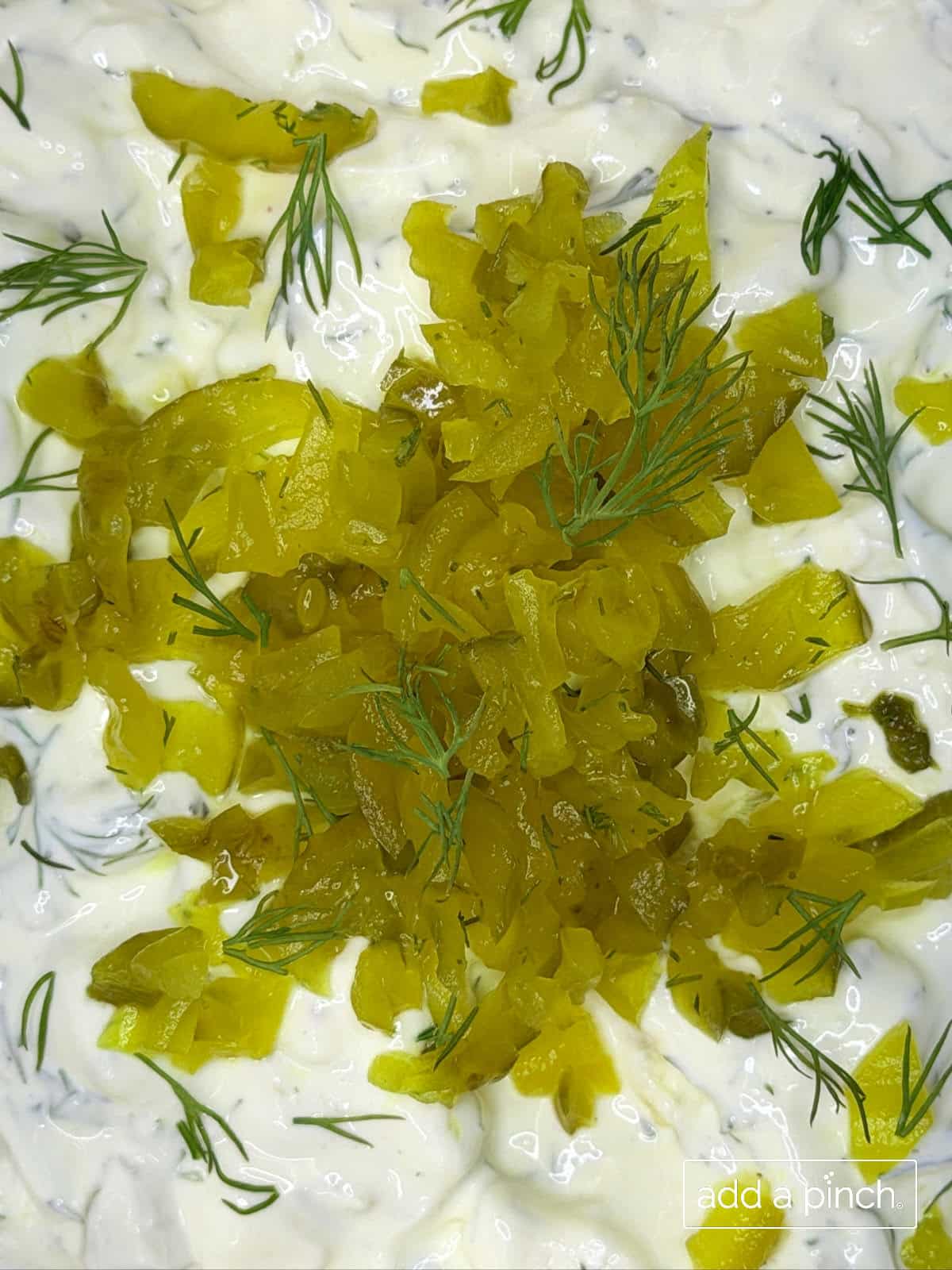 Close-up showing the creamy texture and dill flecks of the best dill pickle dip as a chip dips in.